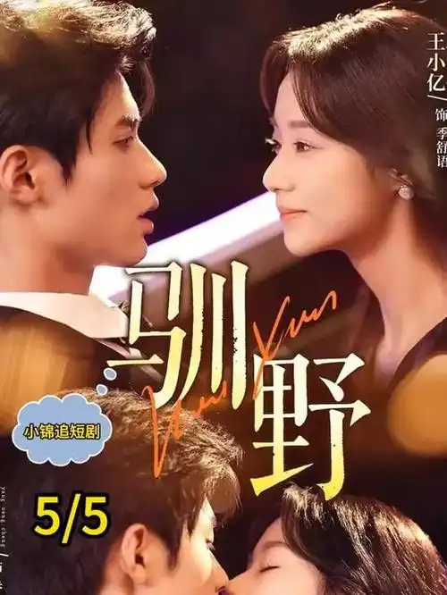 第七影院剧集 回声档案剧集版 海报